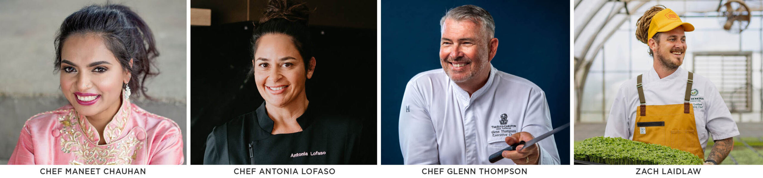 Signature Dinner Chefs